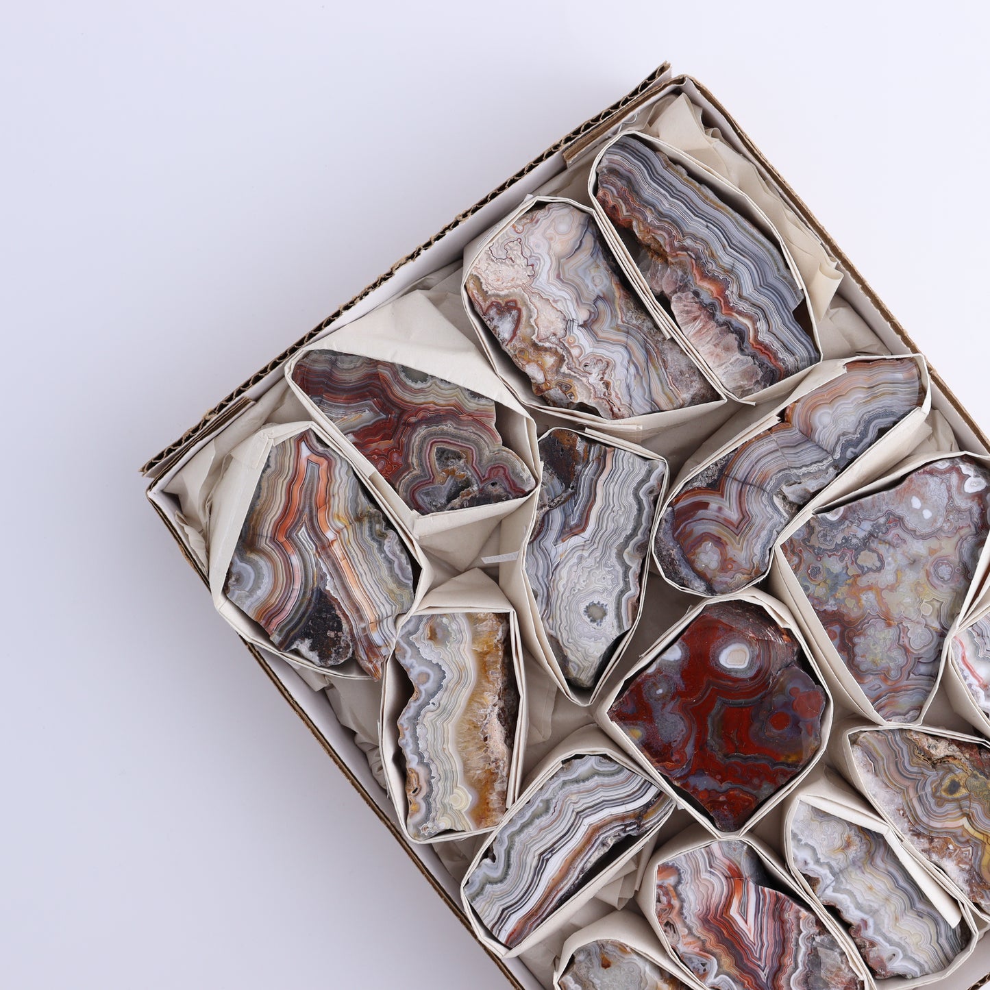 Crazy Lace Agate Flat of 15 - Expert Wholesale and Supplier of Wholesale Crystals & Bulk Gemstones, ["Crazy Lace Agate","Mexico"]