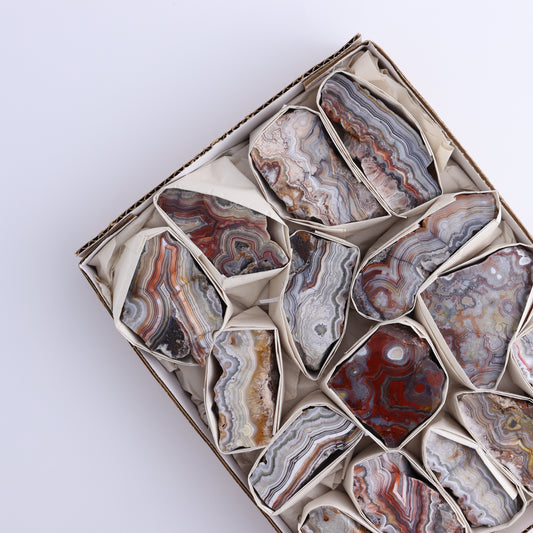Crazy Lace Agate Flat of 15 - Expert Wholesale and Supplier of Wholesale Crystals & Bulk Gemstones, ["Crazy Lace Agate","Mexico"]