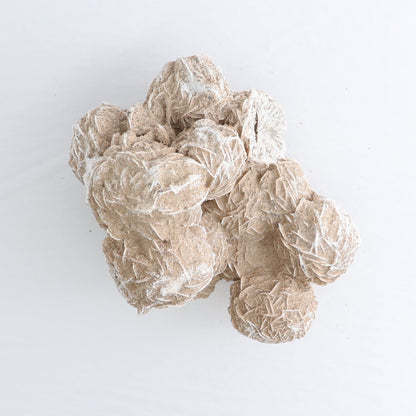 Desert Rose Set of 2