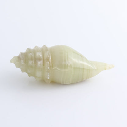 One Mexican Onyx/Calcite Shell Cut Base Green