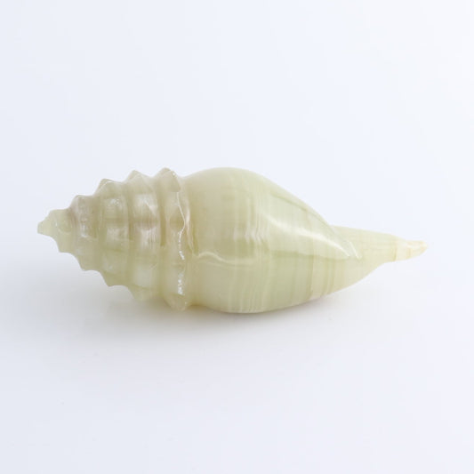 One Mexican Onyx/Calcite Shell Cut Base Green