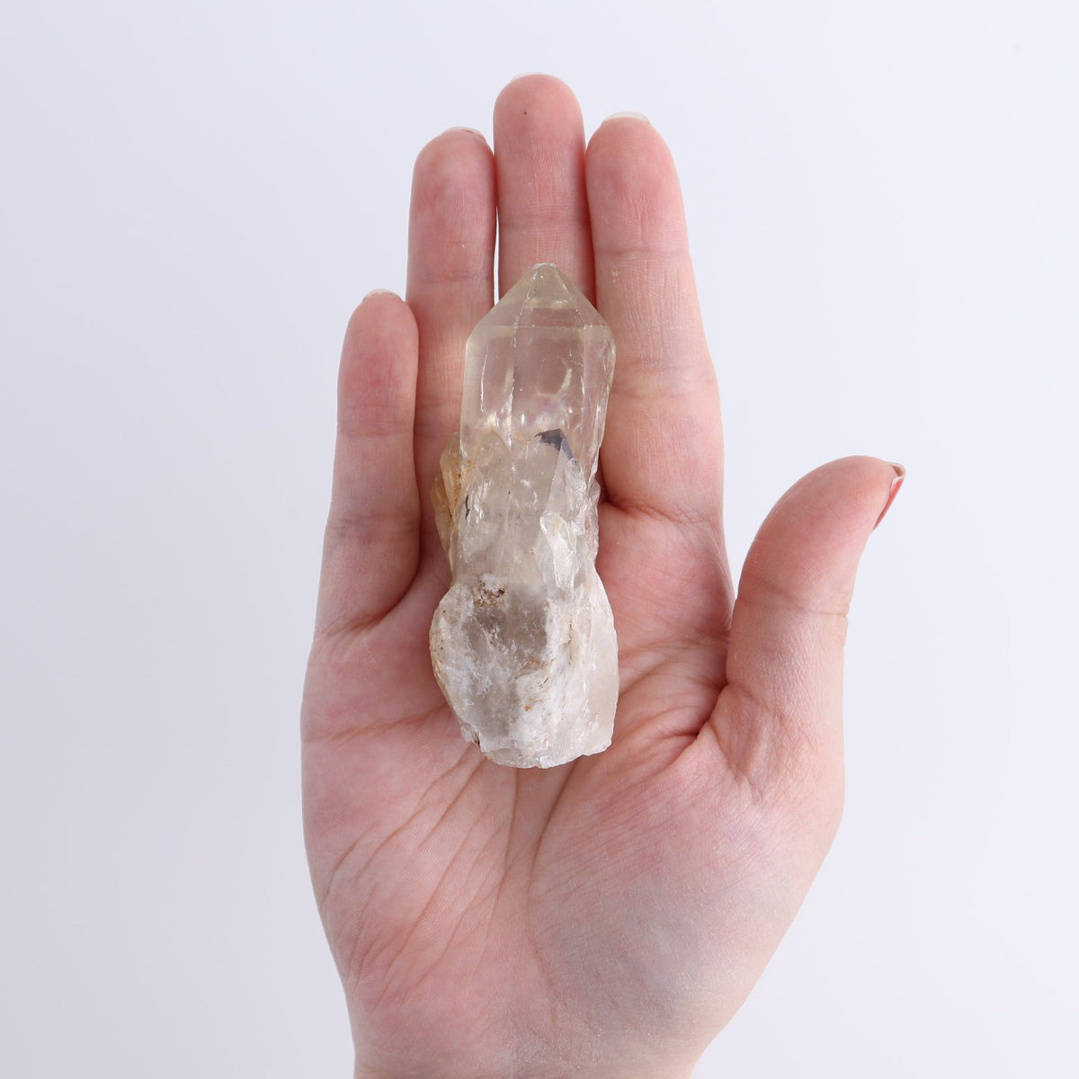 Congo Citrine Set of 12