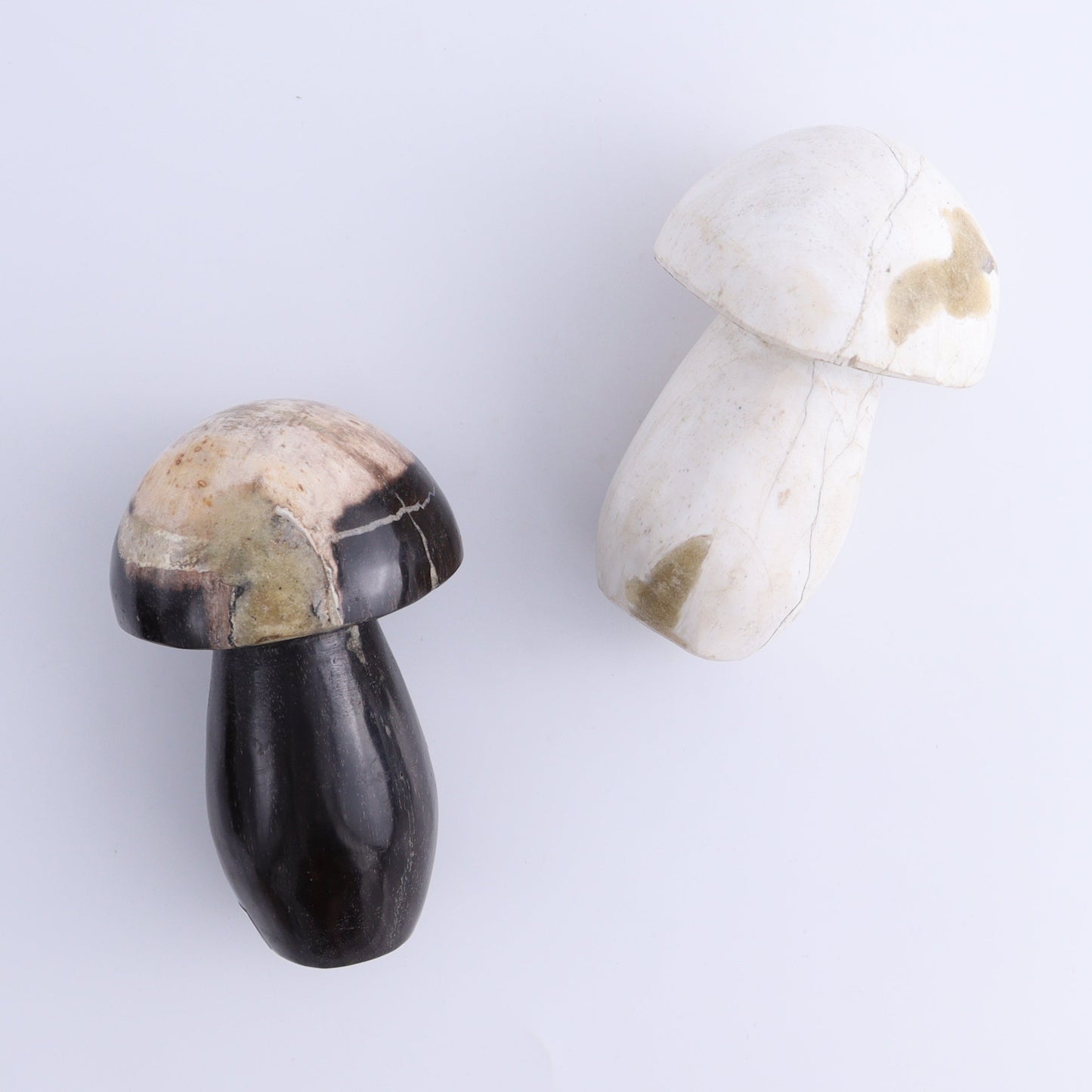 Petrified Wood Mushrooms Set of 4 - Expert Wholesale and Supplier of Wholesale Crystals & Bulk Gemstones, ["Indonesia","Mushrooms","Petrified Wood"]