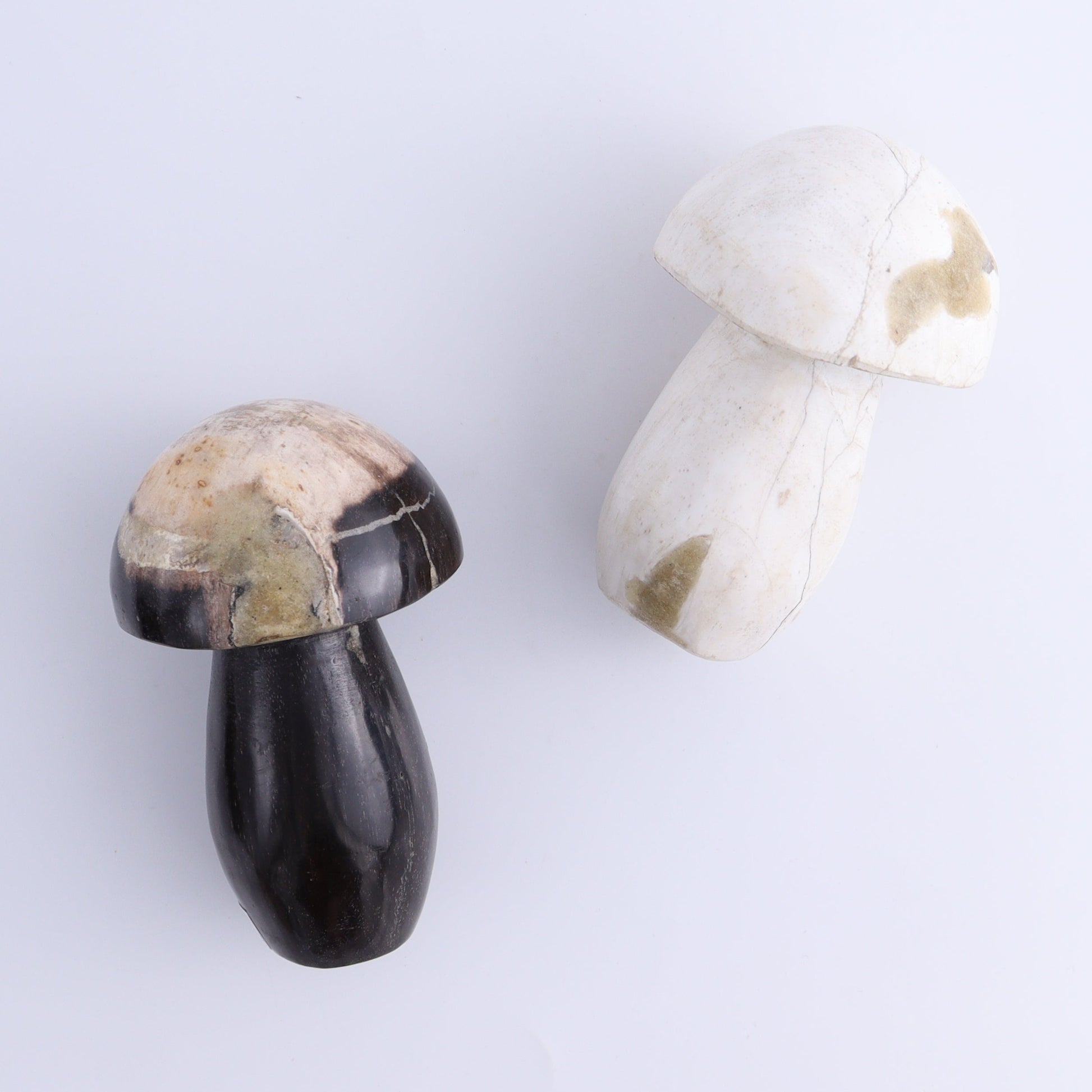 Petrified Wood Mushrooms Set of 4 - Expert Wholesale and Supplier of Wholesale Crystals & Bulk Gemstones, ["Indonesia","Mushrooms","Petrified Wood"]