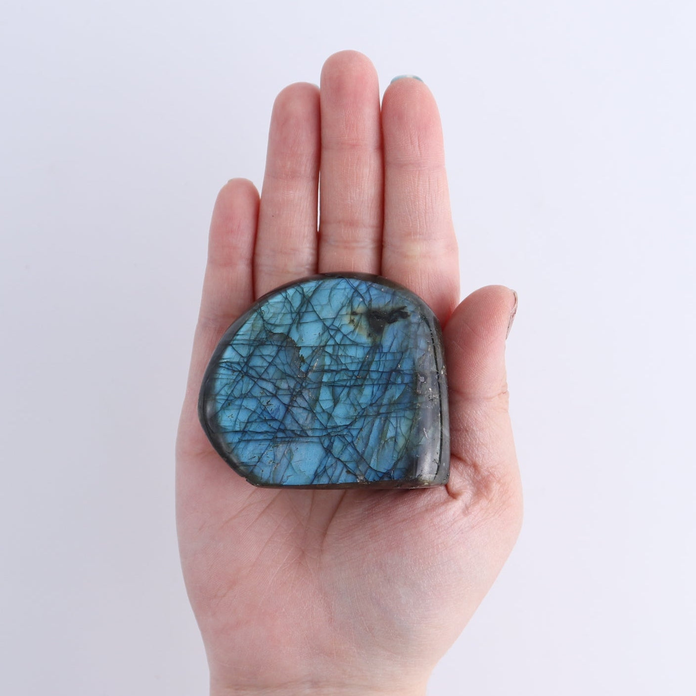 Labradorite Freeform Set of 7