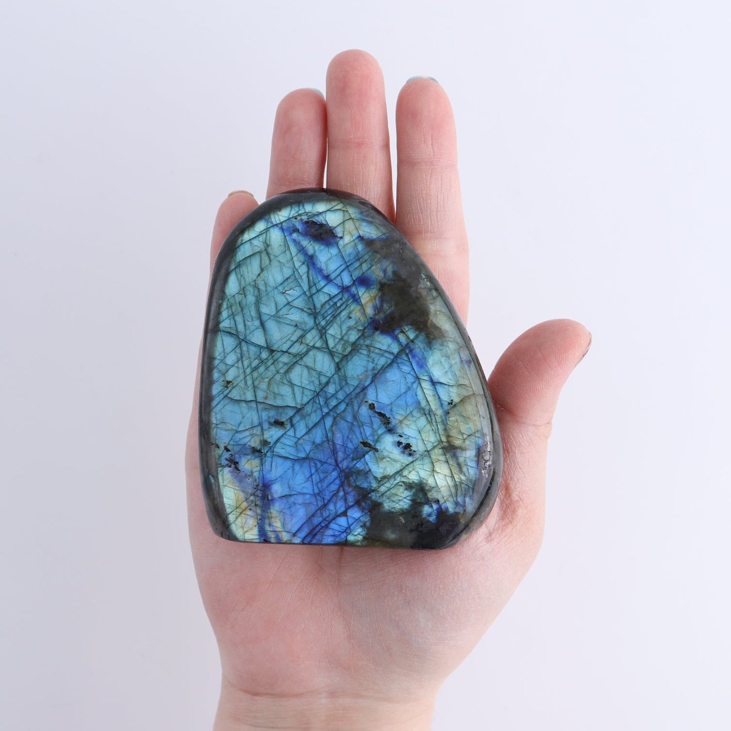Labradorite Freeform Set of 7