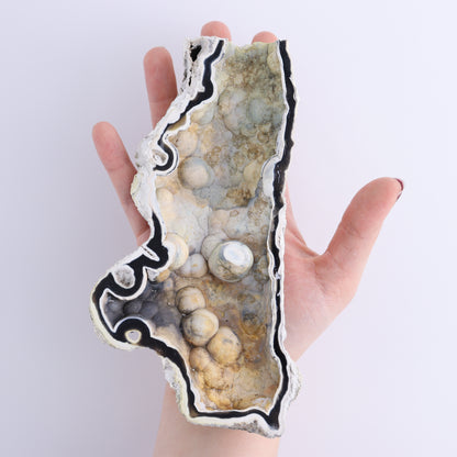 Agatized Coral Flat - Expert Wholesale and Supplier of Wholesale Crystals & Bulk Gemstones, ["Agate","Agatized Coral","Coral","United States"]