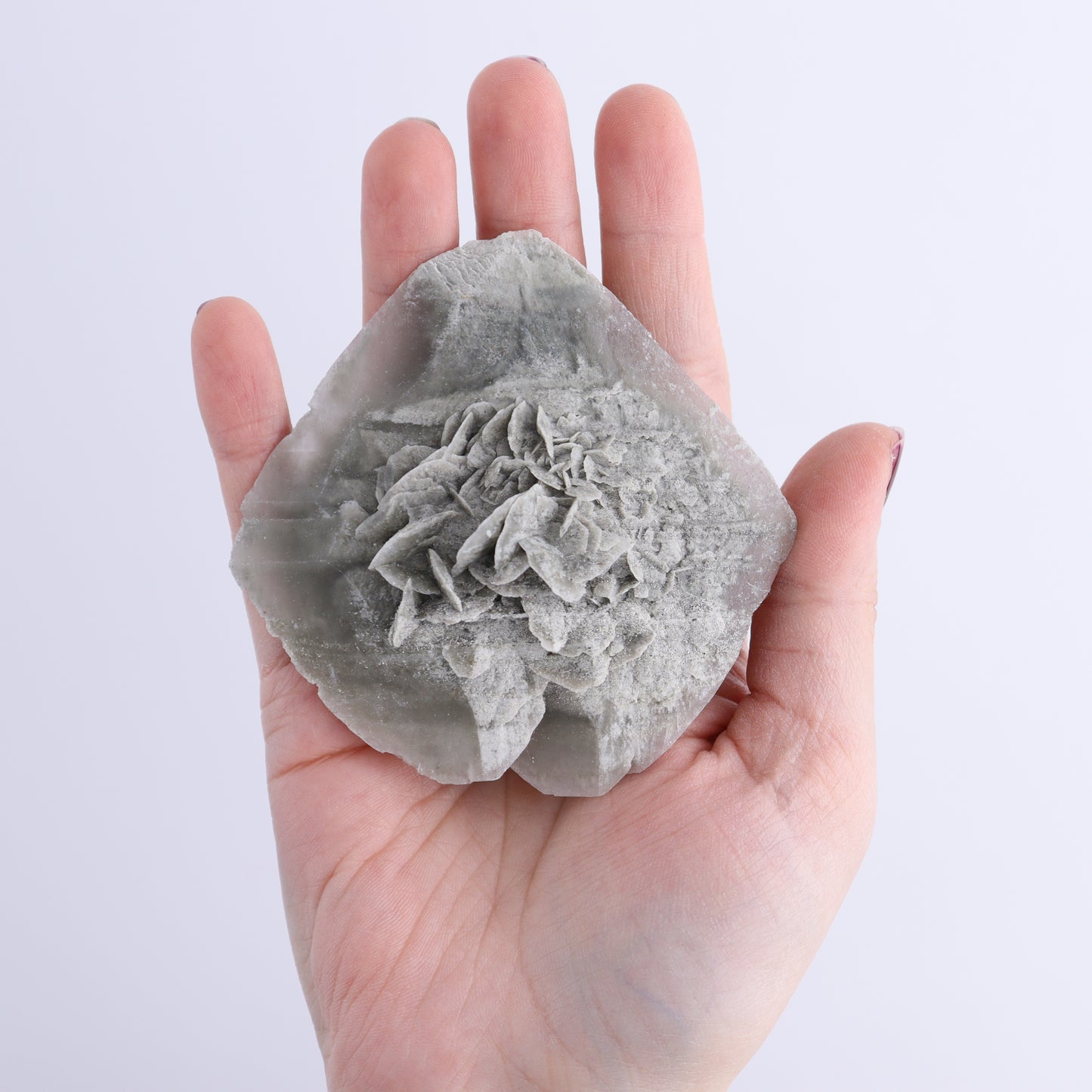 Selenite Clusters Set of 12