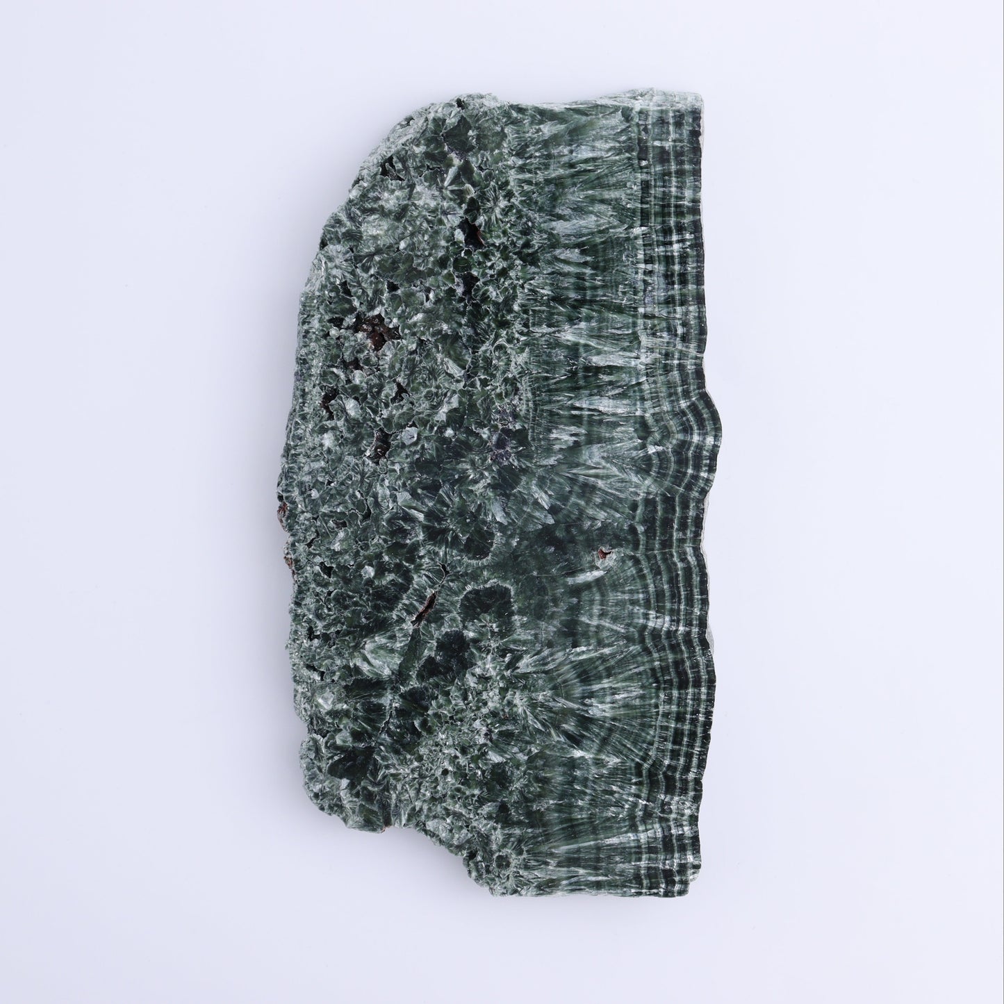 Seraphinite Slices Set of 3 - Expert Wholesale and Supplier of Wholesale Crystals & Bulk Gemstones, ["Russia","Seraphinite","Slices and Slabs"]