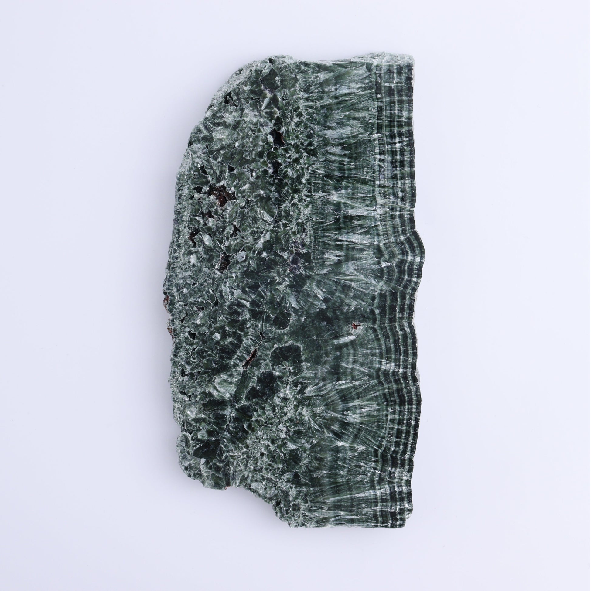 Seraphinite Slices Set of 3 - Expert Wholesale and Supplier of Wholesale Crystals & Bulk Gemstones, ["Russia","Seraphinite","Slices and Slabs"]