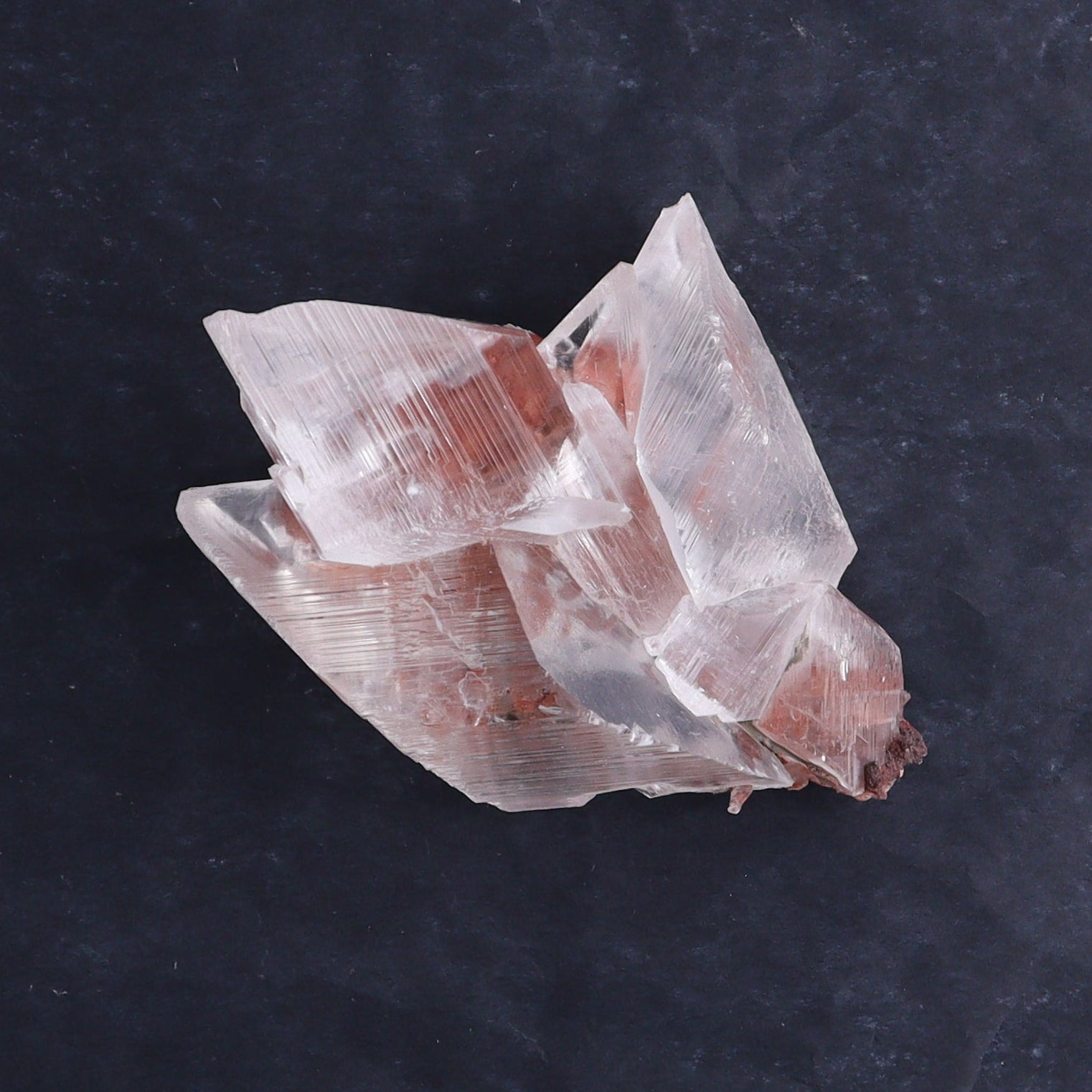 Naica Selenite Flat Set of 6 - Expert Wholesale and Supplier of Wholesale Crystals & Bulk Gemstones, ["Naica Selenite","selenite"]