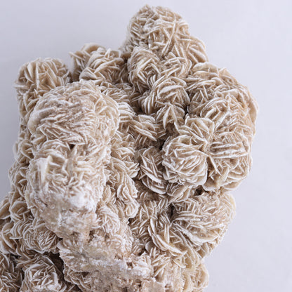 Desert Rose Cluster - Expert Wholesale and Supplier of Wholesale Crystals & Bulk Gemstones, ["Desert Rose","Freeforms"]
