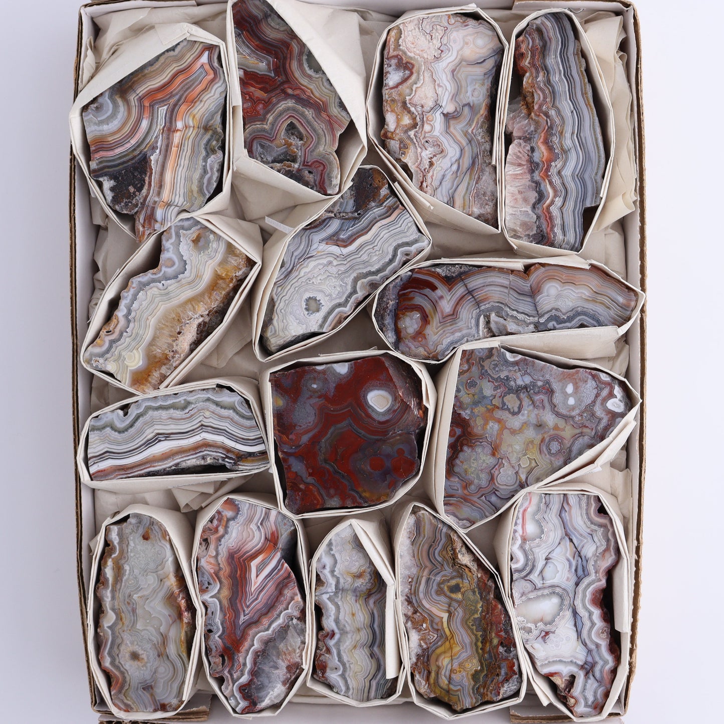Crazy Lace Agate Flat of 15 - Expert Wholesale and Supplier of Wholesale Crystals & Bulk Gemstones, ["Crazy Lace Agate","Mexico"]