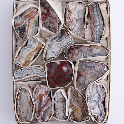 Crazy Lace Agate Flat of 15 - Expert Wholesale and Supplier of Wholesale Crystals & Bulk Gemstones, ["Crazy Lace Agate","Mexico"]