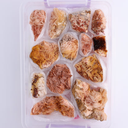 Vanadinite on Barite Flat from Morocco - Expert Wholesale and Supplier of Wholesale Crystals & Bulk Gemstones, ["Barite","Flats","Morocco","Vanadinite","Vanadinite Barite"]
