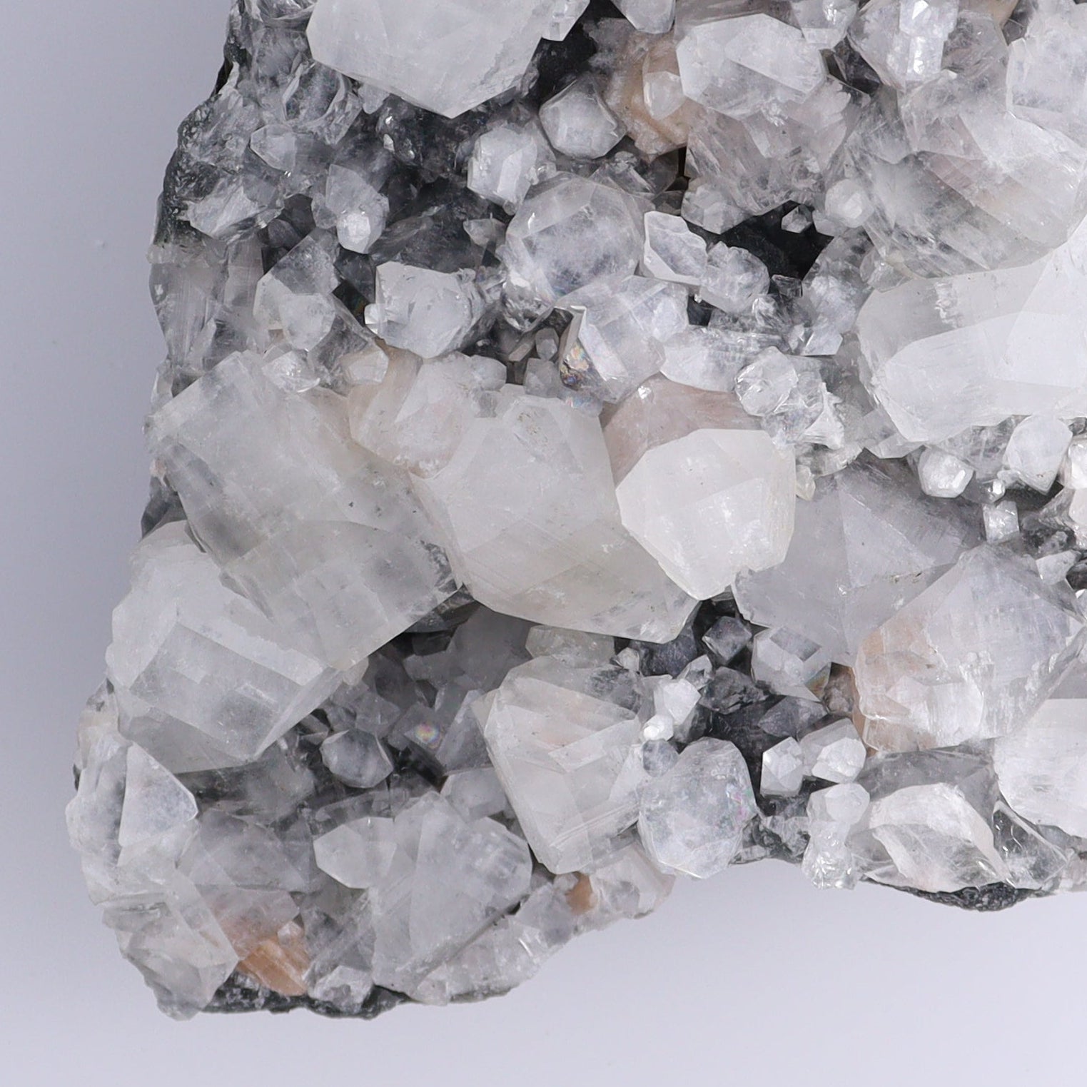 Apophyllite Cluster - Expert Wholesale and Supplier of Wholesale Crystals & Bulk Gemstones, ["Apophyllite","Clusters"]
