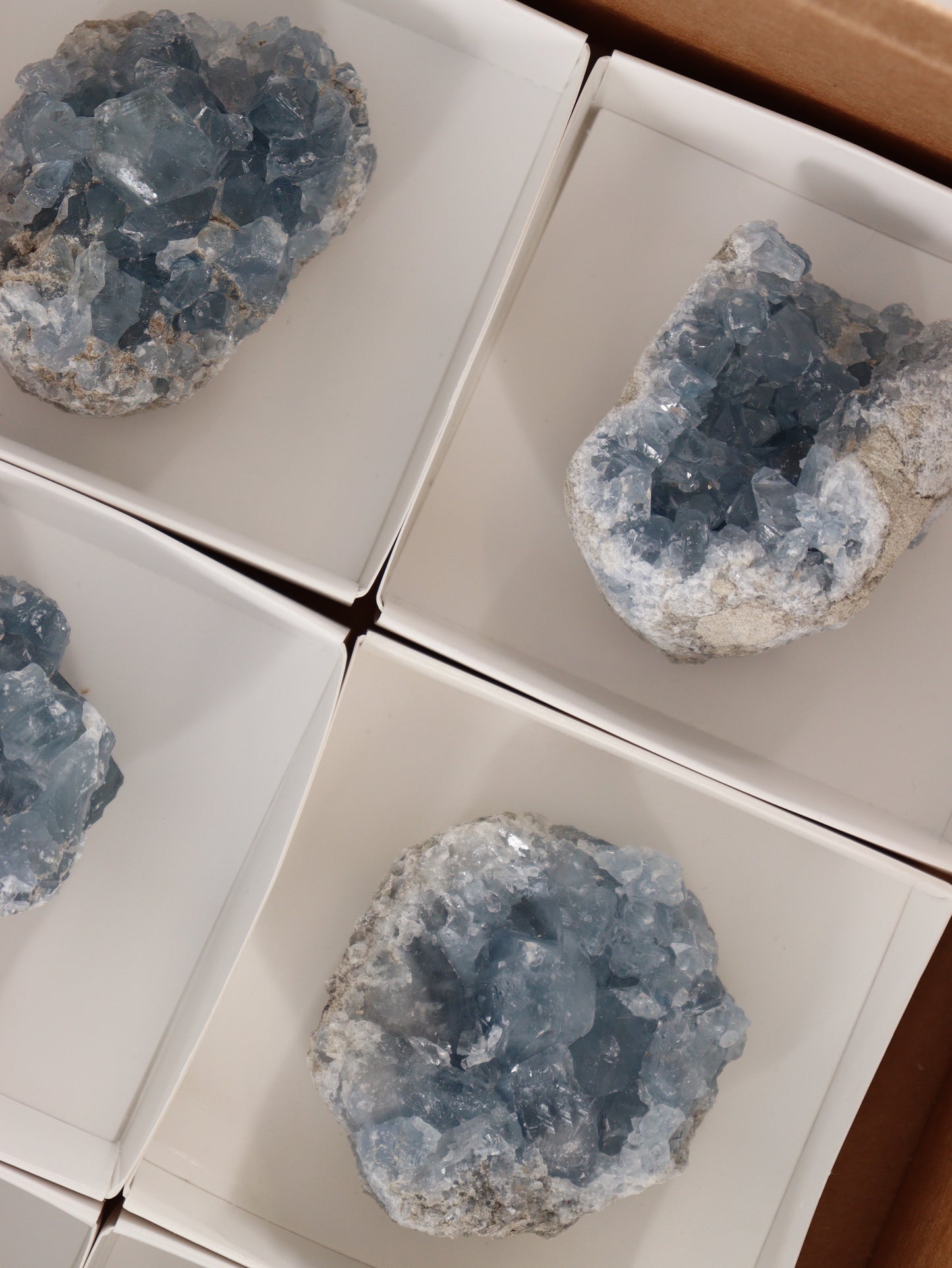 Celestite Clusters Set of 6 - Expert Wholesale and Supplier of Wholesale Crystals & Bulk Gemstones, []