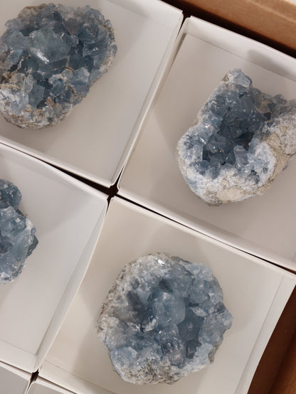 Celestite Clusters Set of 6 - Expert Wholesale and Supplier of Wholesale Crystals & Bulk Gemstones, []