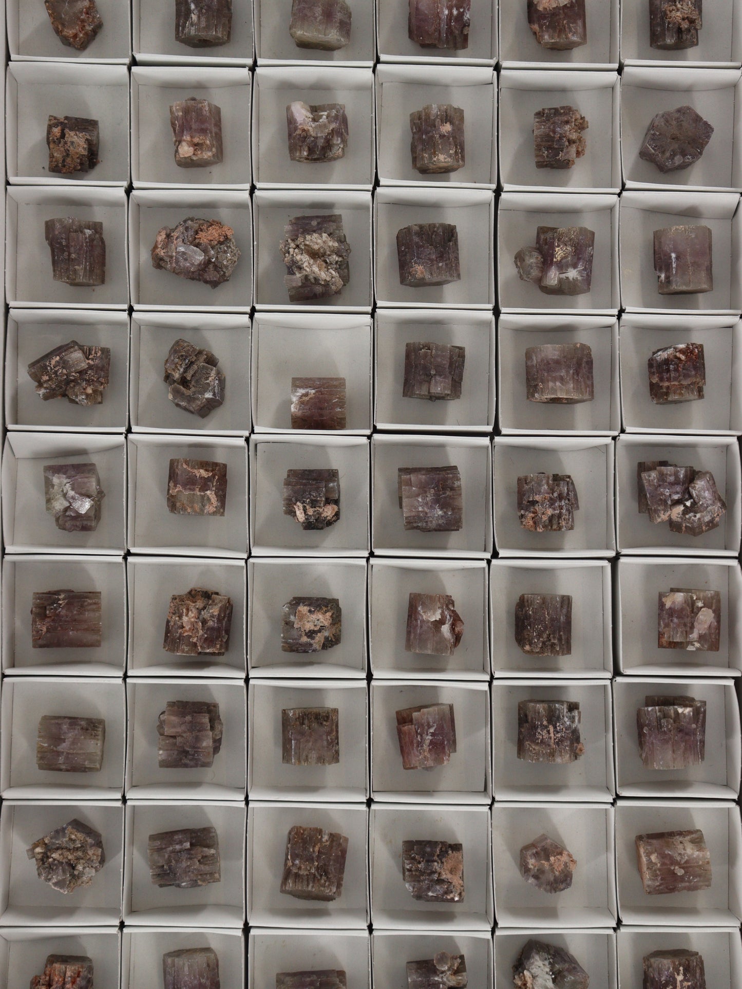 Aragonite Flat - Expert Wholesale and Supplier of Wholesale Crystals & Bulk Gemstones, []