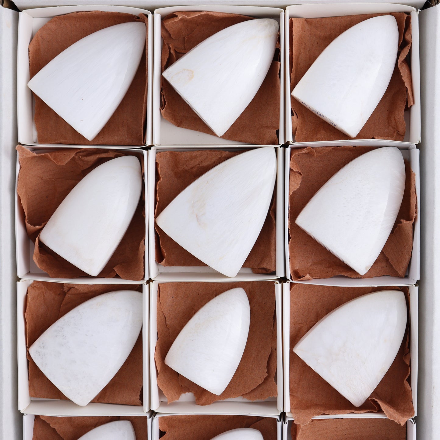 Scolecite Freeforms Flat of 12 - Expert Wholesale and Supplier of Wholesale Crystals & Bulk Gemstones, ["Freeforms","India","Scolecite"]