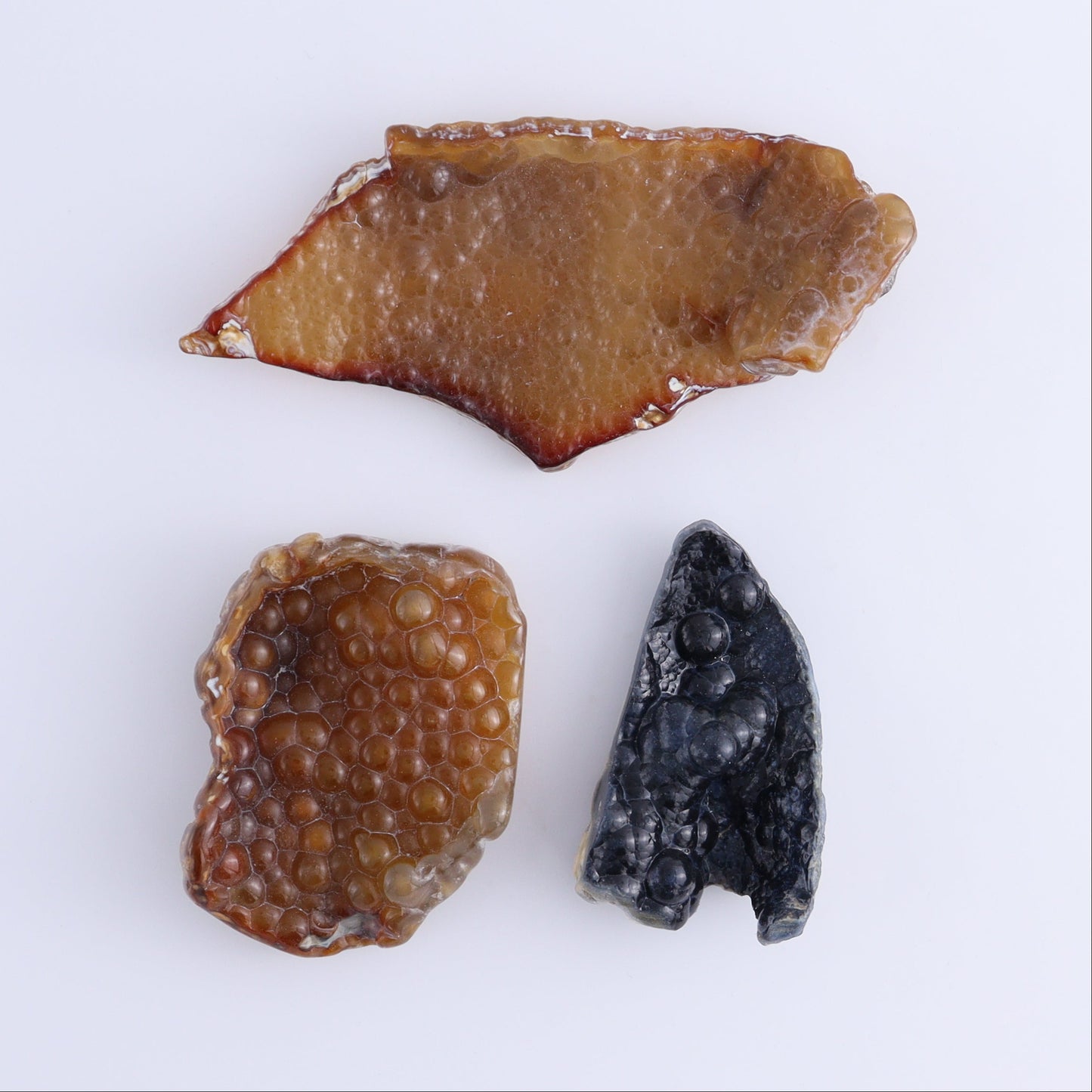 Agatized Coral Flat - Expert Wholesale and Supplier of Wholesale Crystals & Bulk Gemstones, ["Agate","Agatized Coral","Coral","United States"]