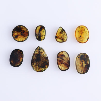 Chiapas Mexico Amber Cabs Set of 8 - Expert Wholesale and Supplier of Wholesale Crystals & Bulk Gemstones, ["Amber","Cabs","Chiapas Amber","Mexico"]