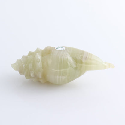 One Mexican Onyx/Calcite Shell Cut Base Green