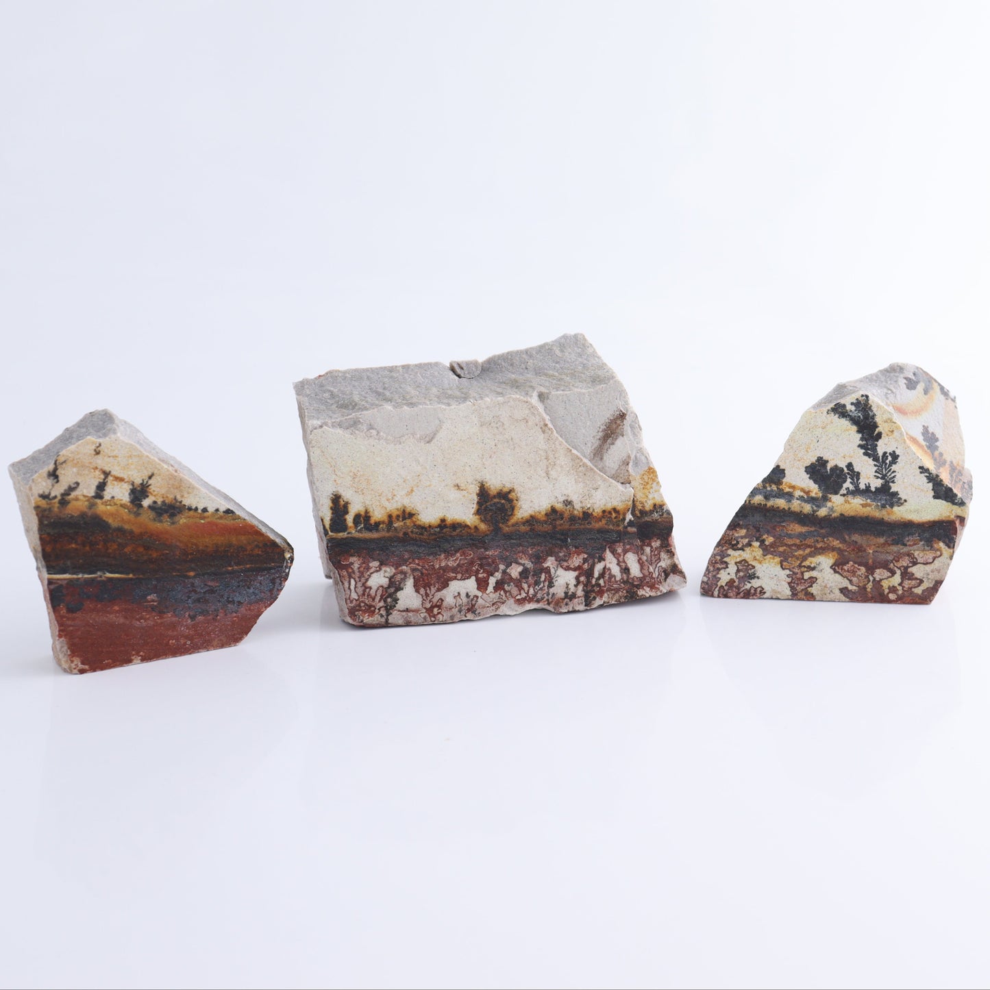 Dendrites Flat Set of 6 - Expert Wholesale and Supplier of Wholesale Crystals & Bulk Gemstones, ["Dendrite","Flats"]