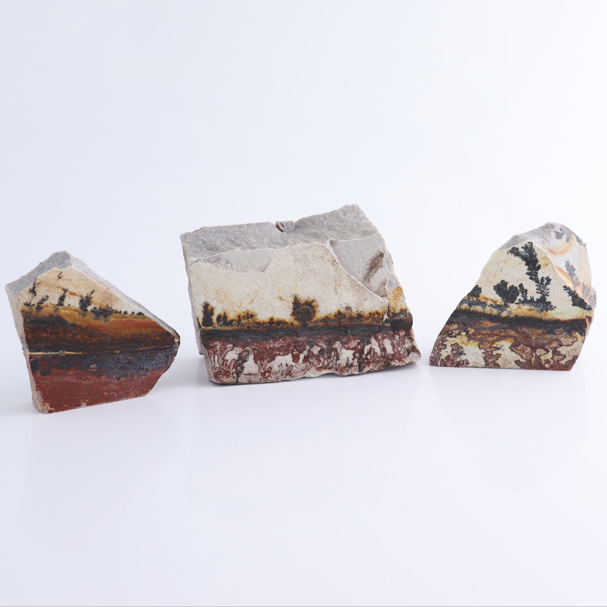 Dendrites Flat Set of 6 - Expert Wholesale and Supplier of Wholesale Crystals & Bulk Gemstones, ["Dendrite","Flats"]
