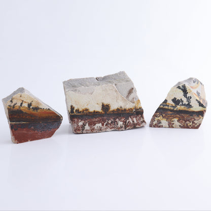 Dendrites Flat Set of 6 - Expert Wholesale and Supplier of Wholesale Crystals & Bulk Gemstones, ["Dendrite","Flats"]