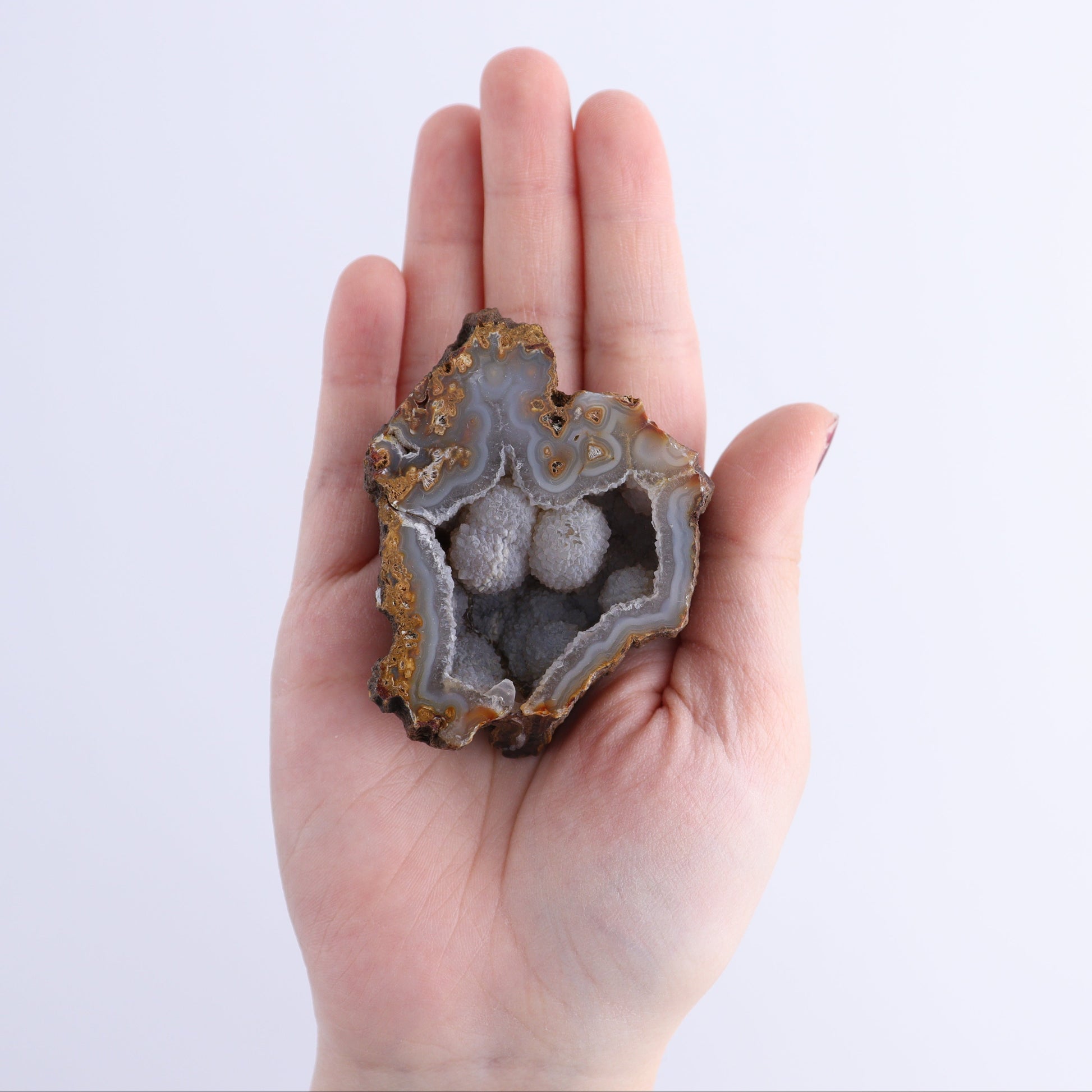 Agatized Coral Flat - Expert Wholesale and Supplier of Wholesale Crystals & Bulk Gemstones, ["Agate","Agatized Coral","Coral","United States"]