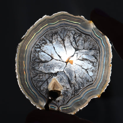 Iris Agate Slices Set of 6 - Expert Wholesale and Supplier of Wholesale Crystals & Bulk Gemstones, ["Agate","close_30","Iris Agate","Slices and Slabs"]
