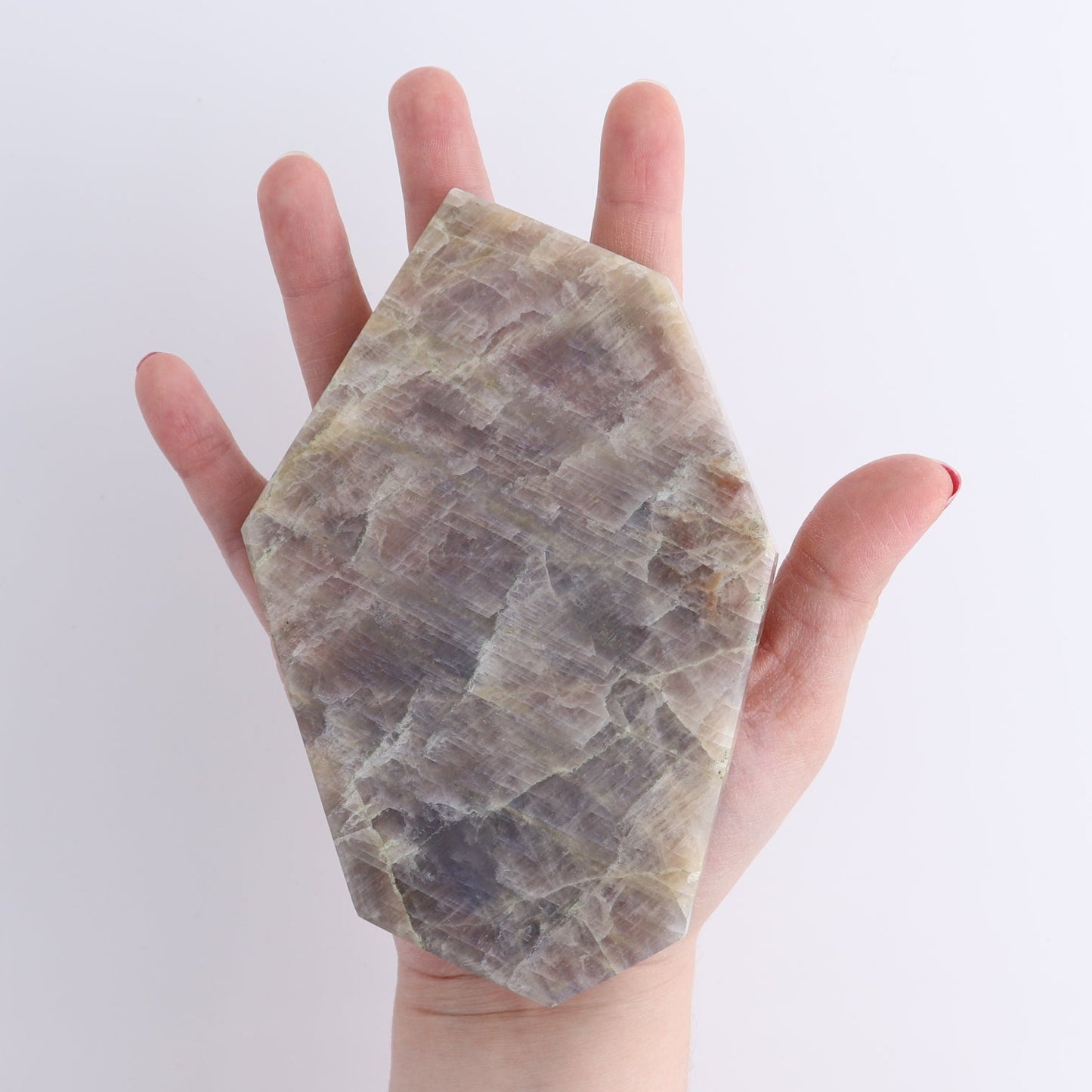 Moonstone Slices & Slabs Set of 4