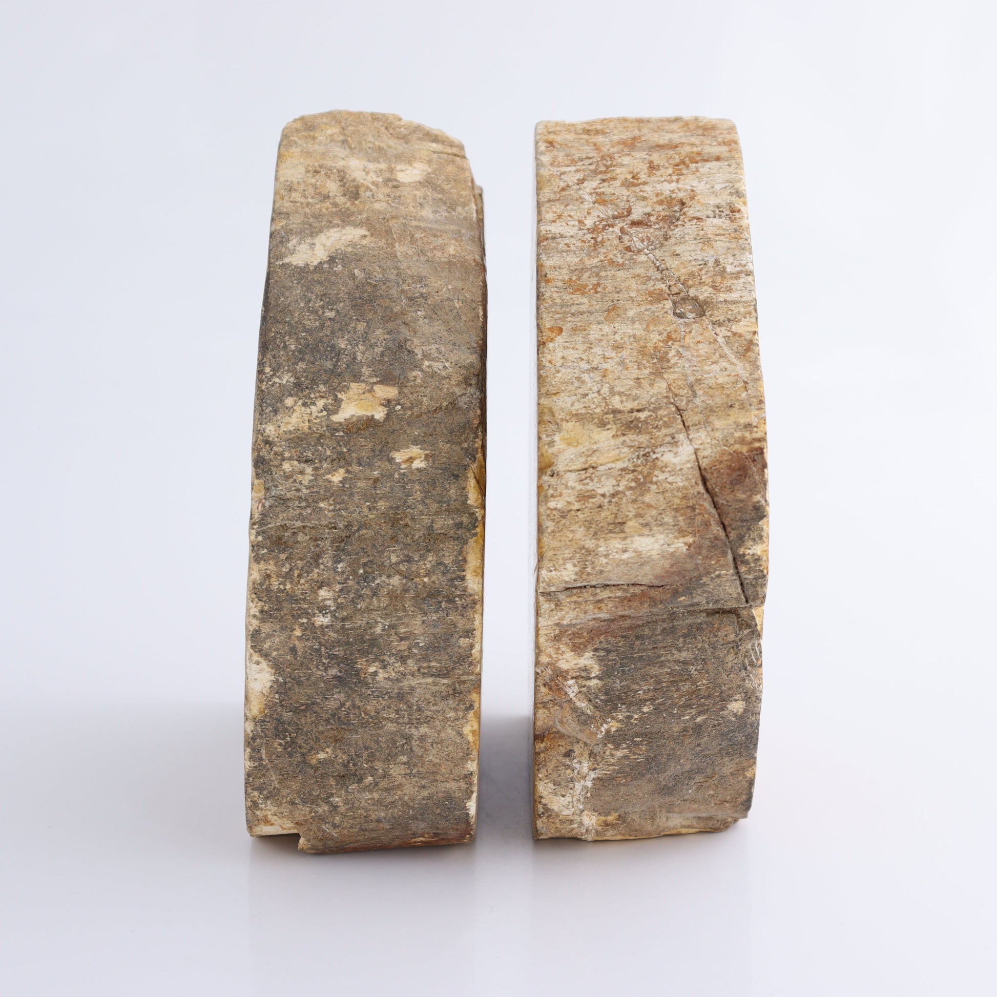 Bookends Petrified Wood - Expert Wholesale and Supplier of Wholesale Crystals & Bulk Gemstones, ["Bookends","Indonesia","Petrified Wood"]