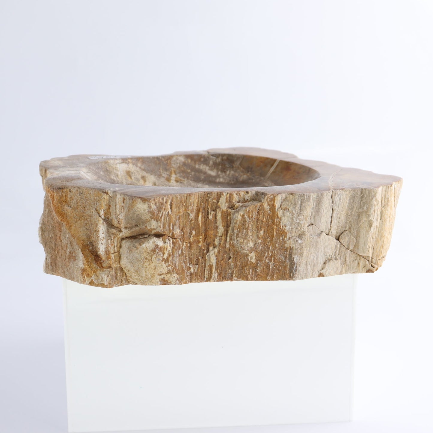 One Petrified Wood Brown Rough Bowl