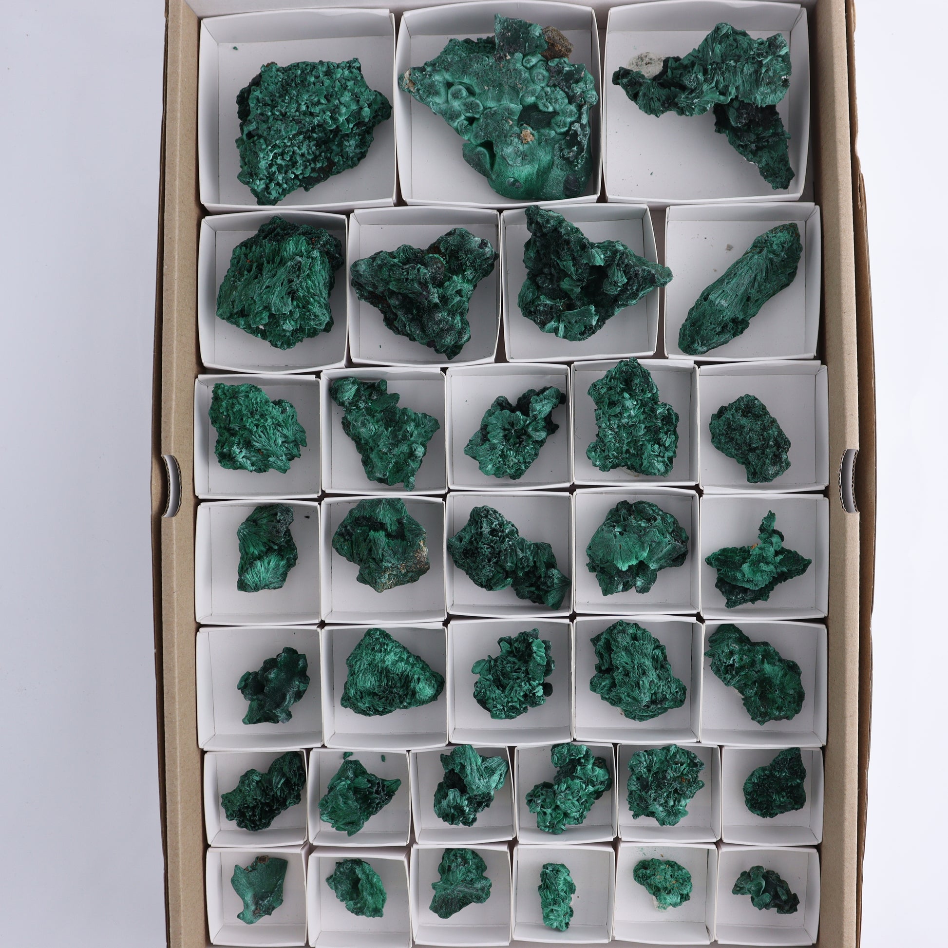Malachite Flat of 34 - Expert Wholesale and Supplier of Wholesale Crystals & Bulk Gemstones, ["Congo","Flats","Malachite"]