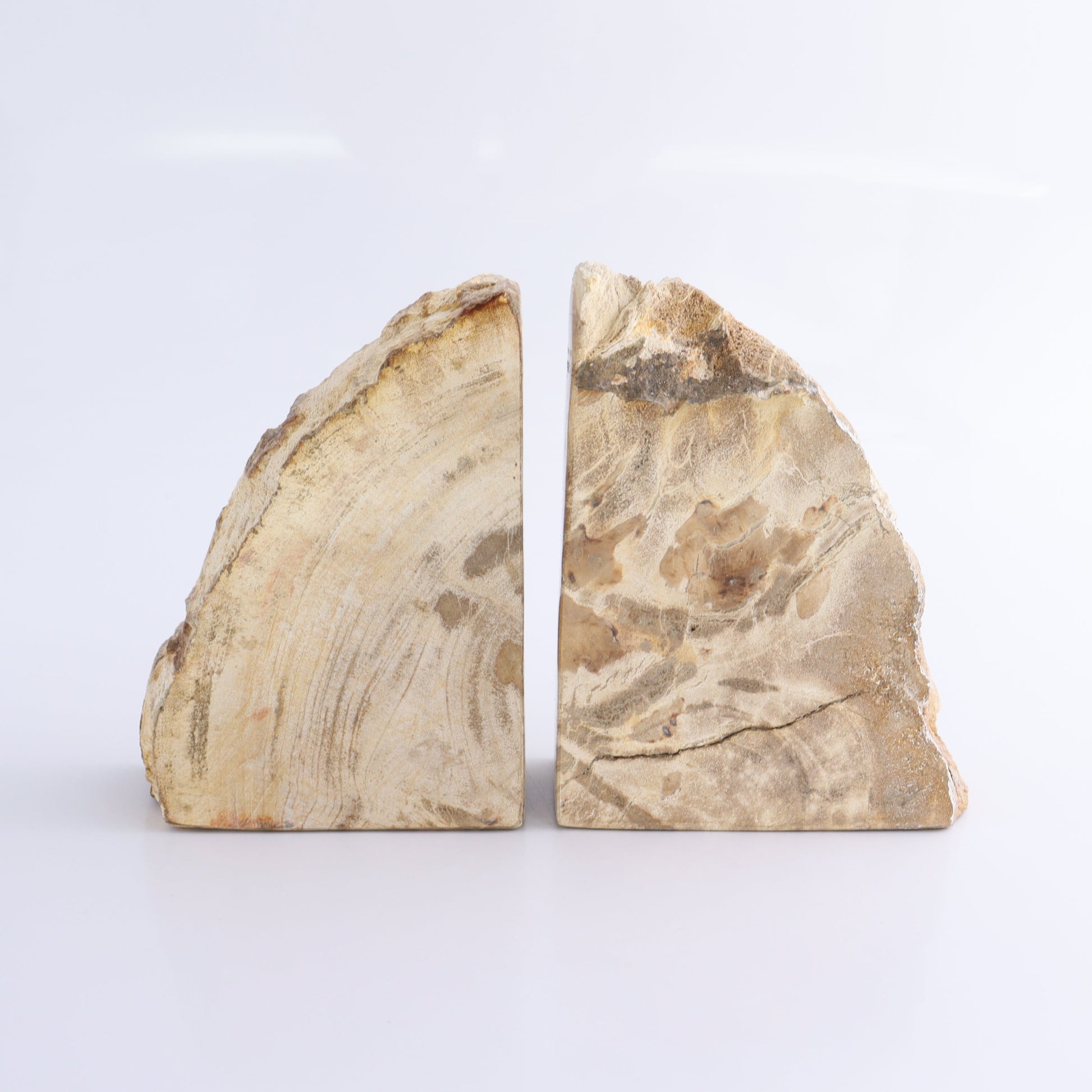 One Pair of Brown/Grey Tall Petrified Wood Bookends - Expert Wholesale and Supplier of Wholesale Crystals & Bulk Gemstones, ["Bookends","Indonesia","Petrified Wood"]