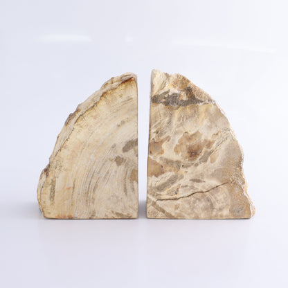 One Pair of Brown/Grey Tall Petrified Wood Bookends - Expert Wholesale and Supplier of Wholesale Crystals & Bulk Gemstones, ["Bookends","Indonesia","Petrified Wood"]