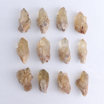 Congo Citrine Set of 12