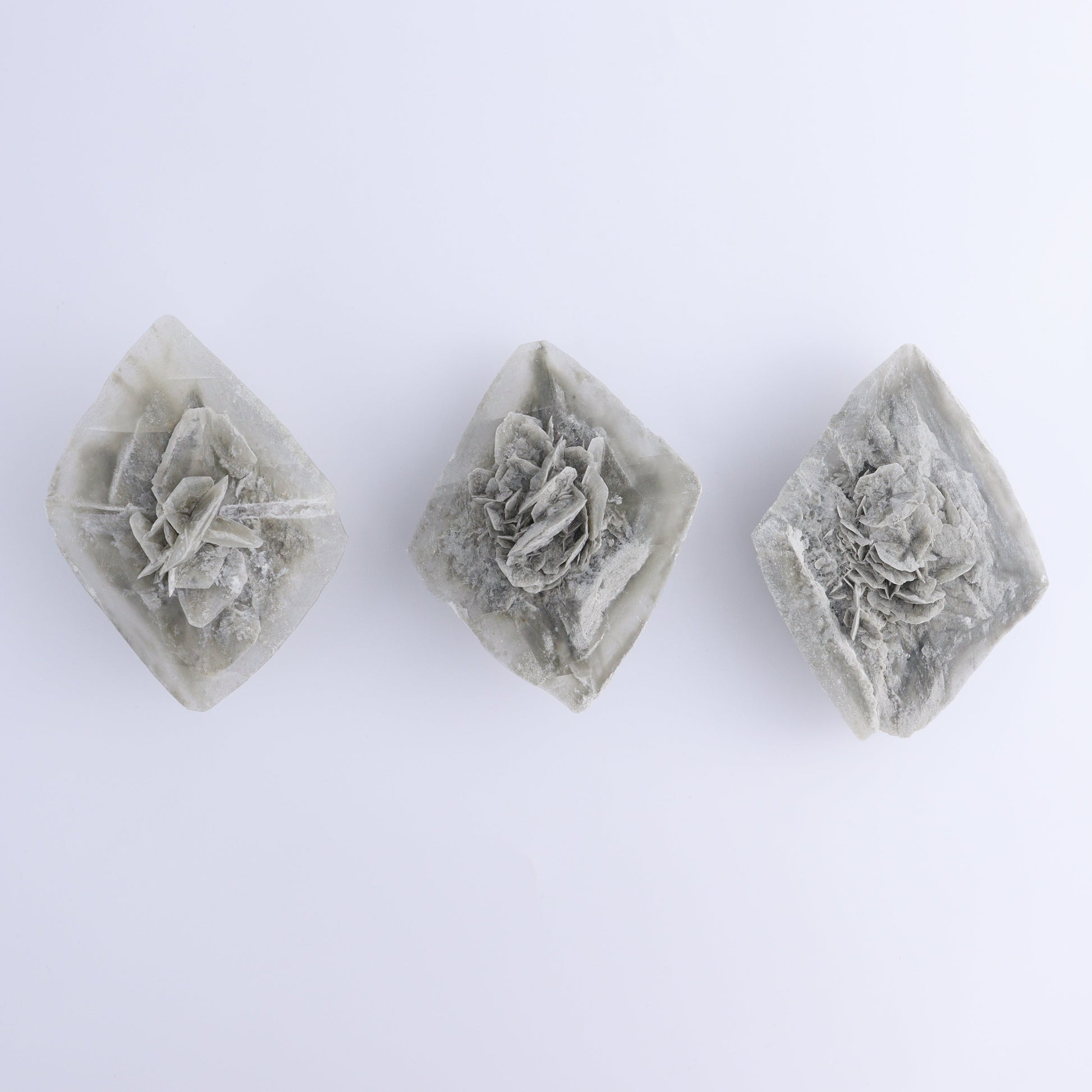 Selenite Clusters Set of 8 - Expert Wholesale and Supplier of Wholesale Crystals & Bulk Gemstones, ["Clusters","selenite"]