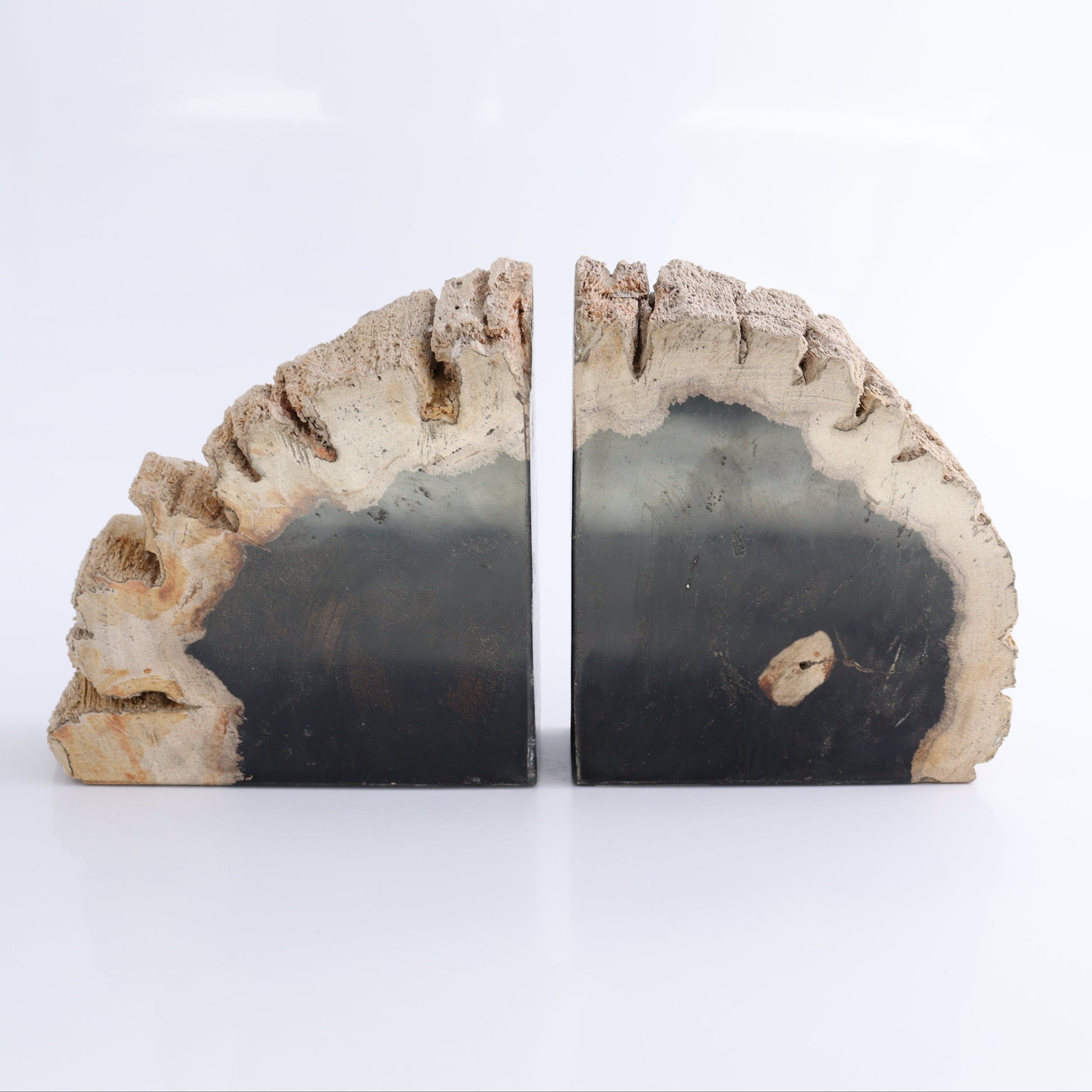 Bookends Petrified Wood - Expert Wholesale and Supplier of Wholesale Crystals & Bulk Gemstones, ["Bookends","Indonesia","Petrified Wood"]
