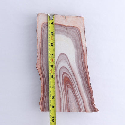 Rhyolite Slabs Set of 2