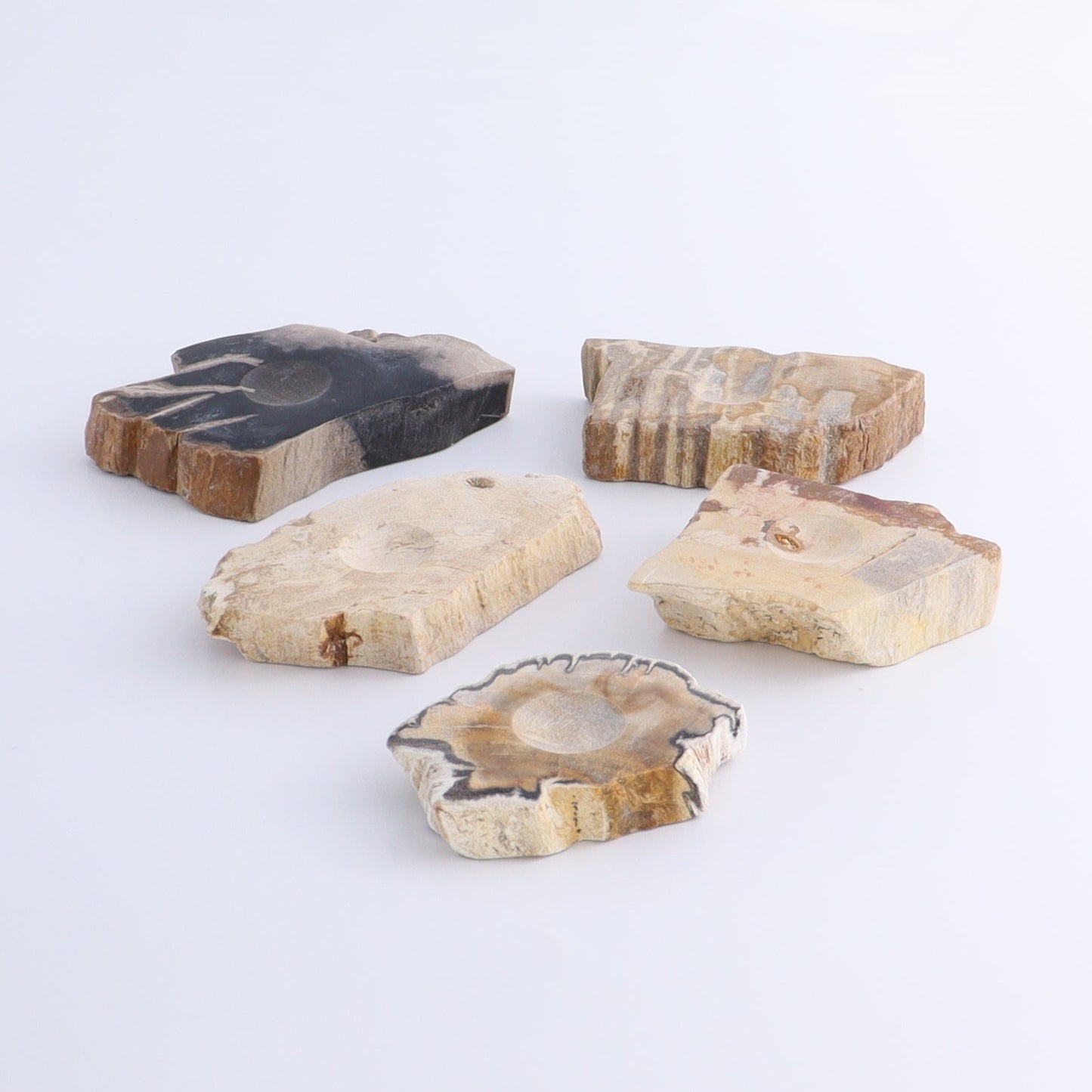 Petrified Wood Sphere Holders Set of 5 - Expert Wholesale and Supplier of Wholesale Crystals & Bulk Gemstones, ["Petrified Wood","sphere holder"]