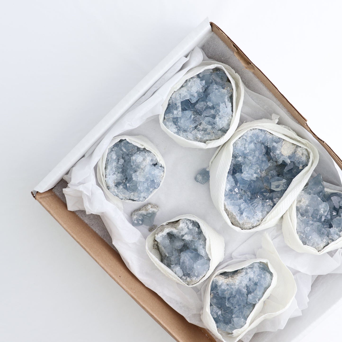 Celestite Clusters Set of 6