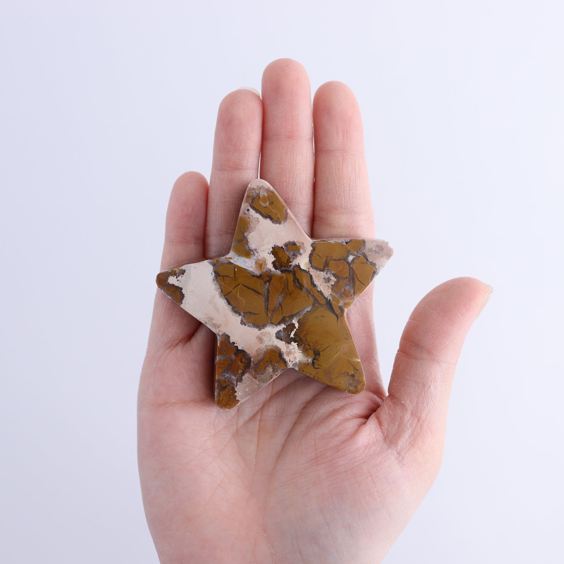Brecciated Jasper Moons, Stars, and Clouds Set of 9 - Expert Wholesale and Supplier of Wholesale Crystals & Bulk Gemstones, ["Brecciated Jasper","Clouds","Indonesia","moons","stars"]