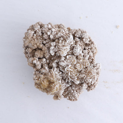 Desert Rose Flat