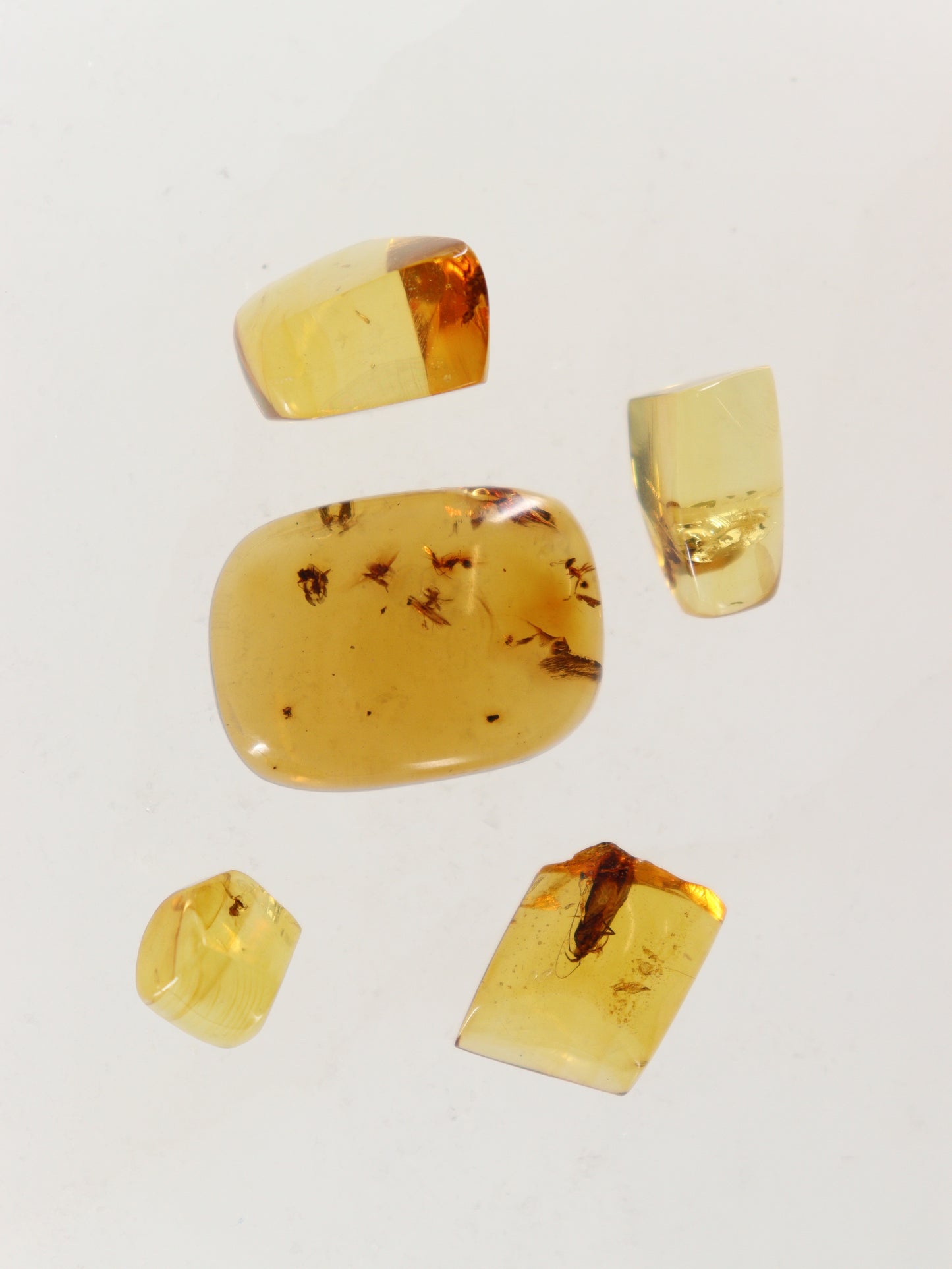 Chiapas Amber Cabs Set of 5