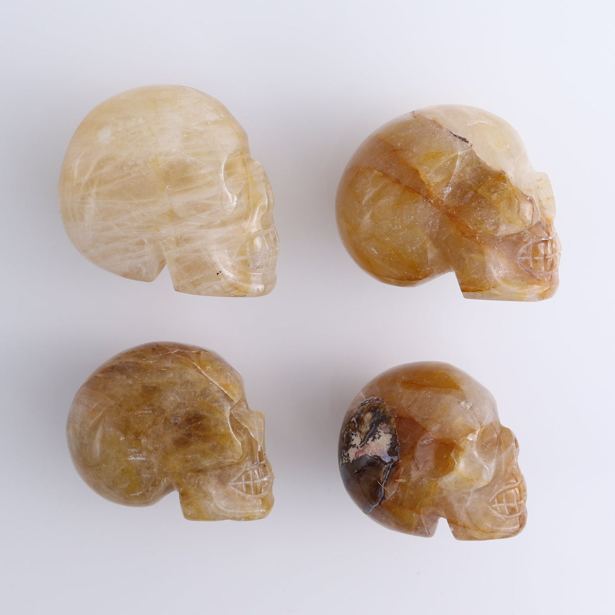 Golden Healer Skulls Set of 4