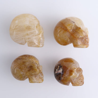 Golden Healer Skulls Set of 4