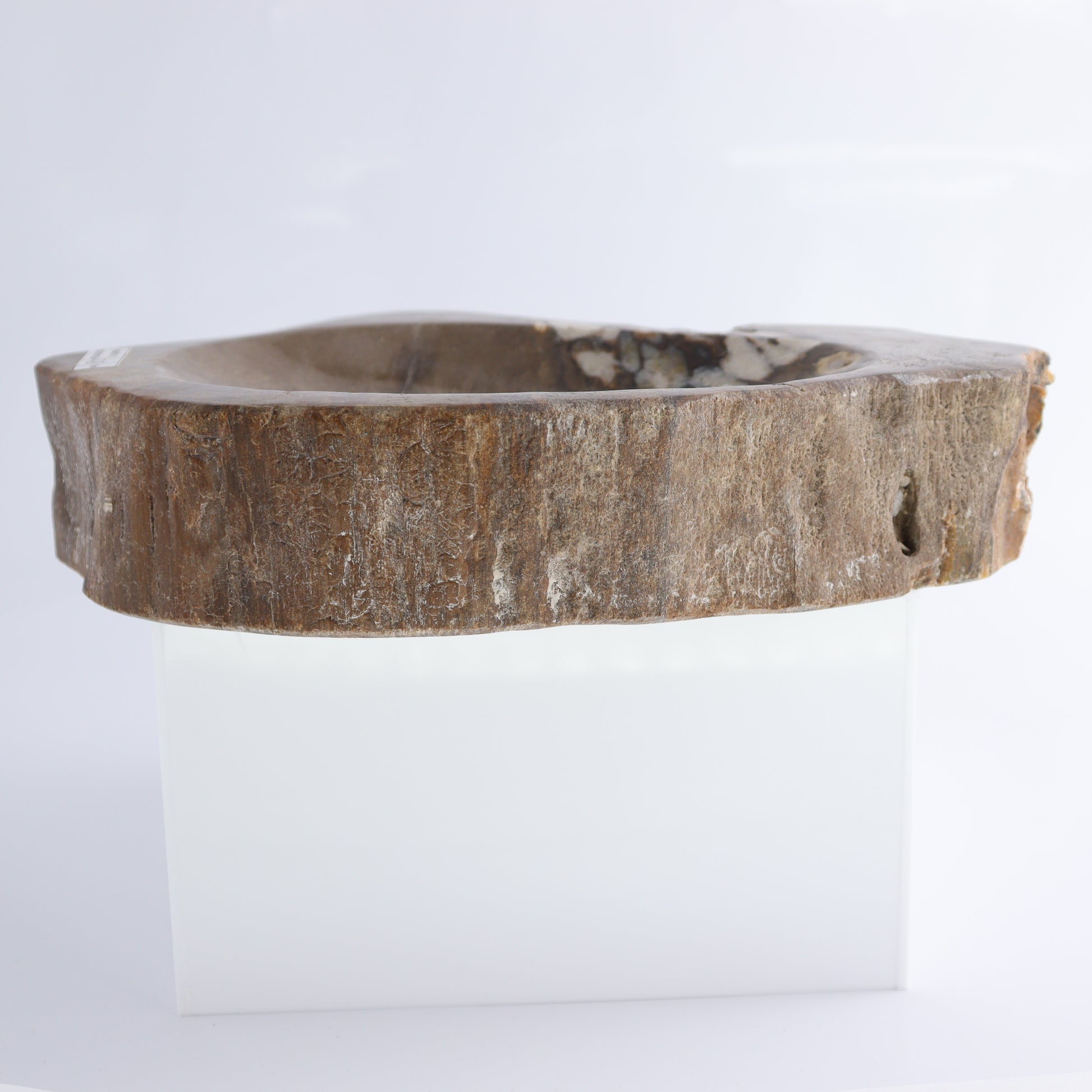 Bowl Petrified Wood - Expert Wholesale and Supplier of Wholesale Crystals & Bulk Gemstones, ["Bowls","Indonesia","Petrified Wood"]